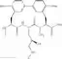 Fig. 112 - Antibacterial amide macrocycles IV