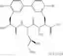 Fig. 113 - Antibacterial amide macrocycles IV