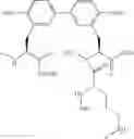 Fig. 115 - Antibacterial amide macrocycles IV