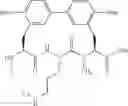 Fig. 119 - Antibacterial amide macrocycles IV