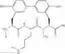 Fig. 121 - Antibacterial amide macrocycles IV