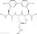 Fig. 125 - Antibacterial amide macrocycles IV