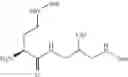 Fig. 172 - Antibacterial amide macrocycles IV