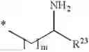 Fig. 18 - Antibacterial amide macrocycles IV
