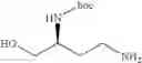 Fig. 310 - Antibacterial amide macrocycles IV
