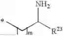 Fig. 458 - Antibacterial amide macrocycles IV
