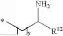 Fig. 48 - Antibacterial amide macrocycles IV