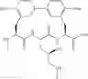 Fig. 92 - Antibacterial amide macrocycles IV