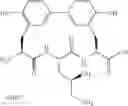 Fig. 93 - Antibacterial amide macrocycles IV