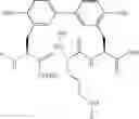 Fig. 96 - Antibacterial amide macrocycles IV