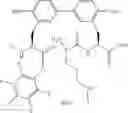 Fig. 99 - Antibacterial amide macrocycles IV