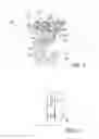 Fig. 02 - Pelvic registration device for medical navigation