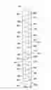 Fig. 09 - Absorbent articles, fastener ears for absorbent articles, and processes for making same