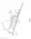 Fig. 07 - Disposable diaper with unitized standing double cuff structure