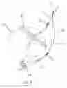 Fig. 08 - Methods and devices for treating obesity, incontinence, and neurological and physiological disorders
