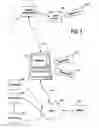 Fig. 06 - Treatment of language, behavior and social disorders
