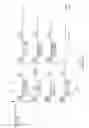 Fig. 06 - Motion compensation for a visual prosthesis