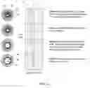 Fig. 07 - ACCURACY LUMEN SIZING AND STENT EXPANSION
