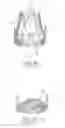 Fig. 09 - Aortic valve prosthesis having natural tissue and an internal cover
