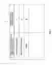 Fig. 04 - Observed-object detection apparatus and observed-object detection method