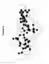 Fig. 06 - Conformation-activity relationship of apoptosis-inducing phosphodiester oligonucleotides