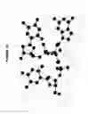 Fig. 07 - Conformation-activity relationship of apoptosis-inducing phosphodiester oligonucleotides