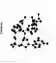 Fig. 22 - Conformation-activity relationship of apoptosis-inducing phosphodiester oligonucleotides