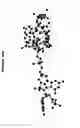 Fig. 43 - Conformation-activity relationship of apoptosis-inducing phosphodiester oligonucleotides