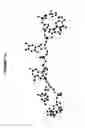 Fig. 45 - Conformation-activity relationship of apoptosis-inducing phosphodiester oligonucleotides