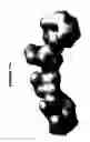 Fig. 49 - Conformation-activity relationship of apoptosis-inducing phosphodiester oligonucleotides