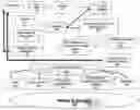 Fig. 01 - Tissue management system