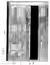 Fig. 08 - Tissue management system