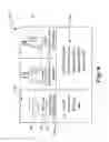 Fig. 08 - Multiple offer coupon