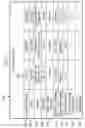 Fig. 05 - Method and apparatus for distributing electronic coupons