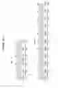 Fig. 08 - Method for designing distributing frame