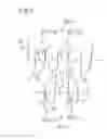 Fig. 07 - Kneader