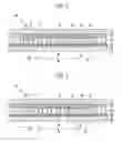Fig. 03 - Plasma display panel with improved barrier rib structure