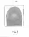 Fig. 04 - Method of capturing fingerprint image