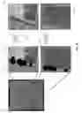 Fig. 07 - Fingerprint processing system providing inpainting for voids in fingerprint data and related methods