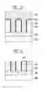 Fig. 04 - Method of forming metal wire of semiconductor device