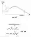 Fig. 05 - SYSTEMS AND METHODS FOR RESPIRATORY EVENT DETECTION