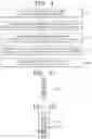 Fig. 04 - Mask for forming fine pattern and method of forming the same