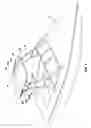 Fig. 02 - Clamp assembly for mounting a boat canopy