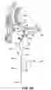 Fig. 08 - IMAGING APPARATUS WITH MOVEABLE ENTRANCE GUIDE