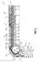 Fig. 12 - IMAGING APPARATUS WITH MOVEABLE ENTRANCE GUIDE