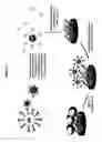 Fig. 09 - Non-nucleic acid based biobarcode assay for detection of biological materials