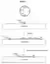 Fig. 03 - Stable Genomic Integration of Multiple Polynucleotide Copies