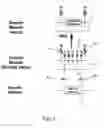 Fig. 02 - DNA MODULAR CLONING VECTOR PLASMIDS AND METHODS FOR THEIR USE