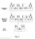 Fig. 05 - DNA MODULAR CLONING VECTOR PLASMIDS AND METHODS FOR THEIR USE