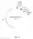 Fig. 11 - DNA MODULAR CLONING VECTOR PLASMIDS AND METHODS FOR THEIR USE